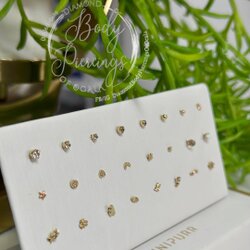 Picture of Jewelry for Piercings