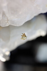 Jewelry for Piercings at Diamond Tattoo and Piercings